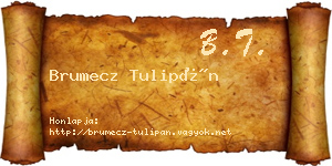 Brumecz Tulipán névjegykártya